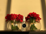 Spray Assured - Premium 2-in-1 Air Freshener and Sanitary Spray BULK DEAL