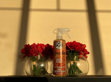 Spray Assured - Premium 2-in-1 Air Freshener and Sanitary Spray BULK DEAL